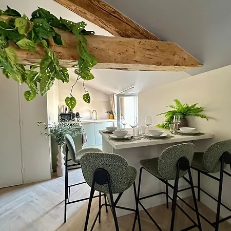Le Pouilly - T2 - Balcon Vue Saone, Climatisation & Nature *