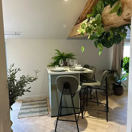 Le Pouilly - T2 - Balcon Vue Saone, Climatisation & Nature * Saint-Laurent-sur-Saone
